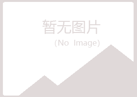 白银平川冰彤服务有限公司